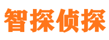 三原外遇调查取证